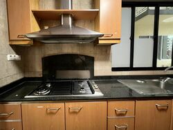 The Sterling (D21), Condominium #481694251